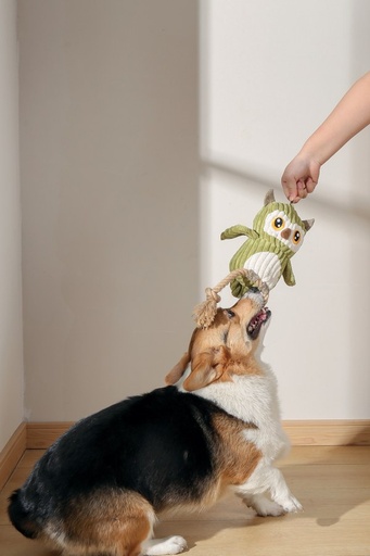 M-pets Thor Eco Dog Toys