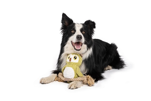 M-pets Thor Eco Dog Toys