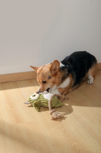 M-pets Thor Eco Dog Toys