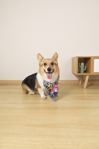M-pets Urban Style Freestyle Bandana Colla S