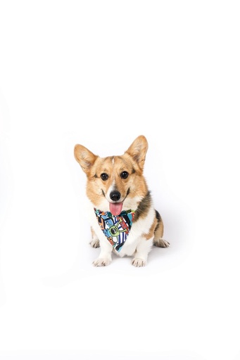 M-pets Urban Style Freestyle Bandana Colla S