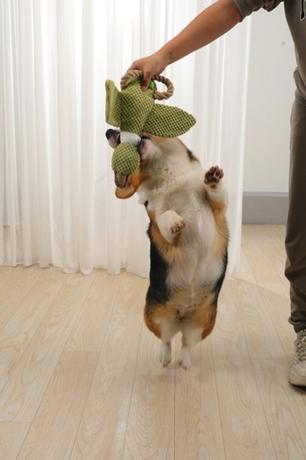 M-pets Buck Eco Dog Toy