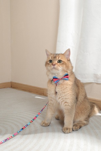 M-pets Urban Style Jazz Stripes Bow Tie Xs/s