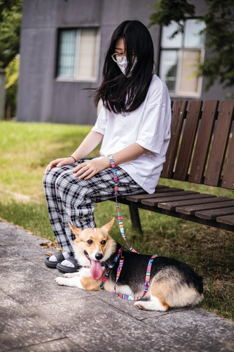 M-pets Urban Style Jazz Stripes Leash Xs