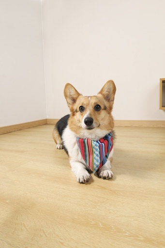 M-pets Urban Style Jazz Strips Bandana Collar S