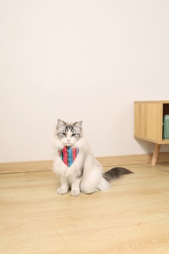 M-pets Urban Style Jazz Strips Bandana Collar S