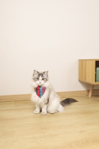 M-pets Urban Style Jazz Strips Bandana Collar Xs