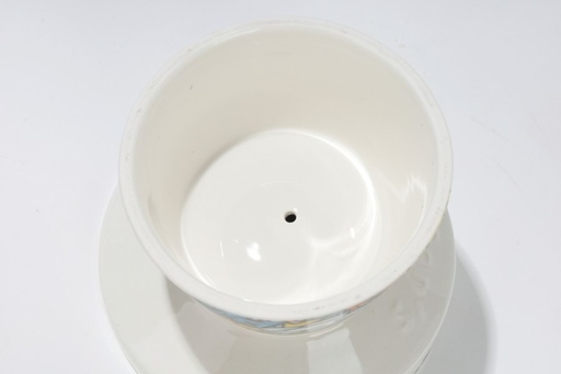 M-pets Urbanstyle Tilt'd Raised Ceramic Bowl Multicolour - S