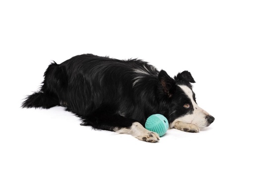 M-pets Vice Versa Dog Toy Ball - Beef Scent