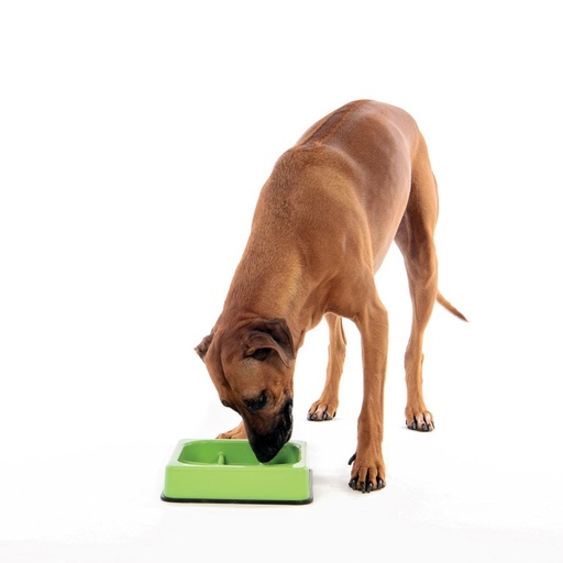 M-pets Waffle - Slow Feed Bowl,chekered