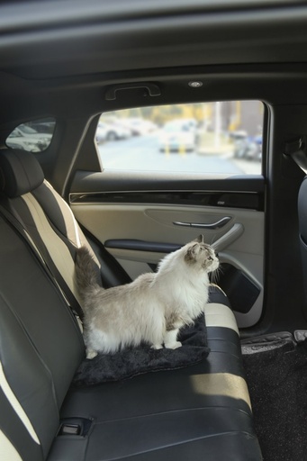 M-pets Warmo Self Heating Mat M