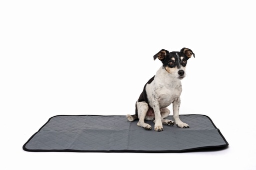 M-pets Washable Training Pad - M