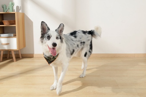 M-pets Wild Jungle Bandana M