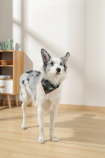 M-pets Wild Jungle Bandana M