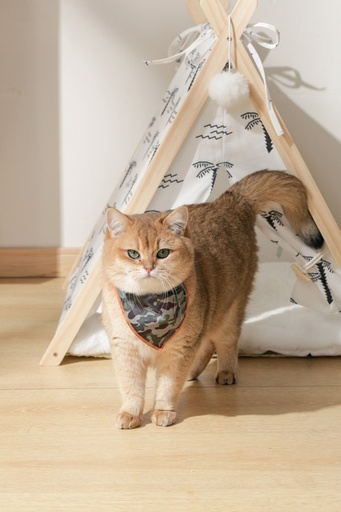 M-pets Wild Jungle Bandana Xs