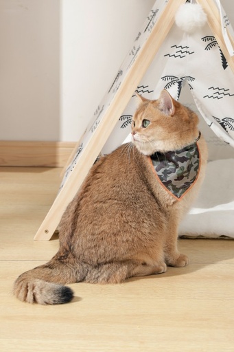 M-pets Wild Jungle Bandana Xs
