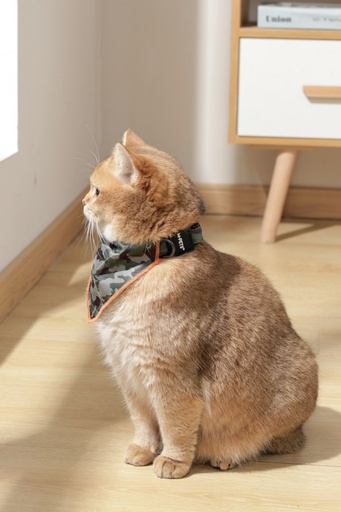 M-pets Wild Jungle Bandana Xs