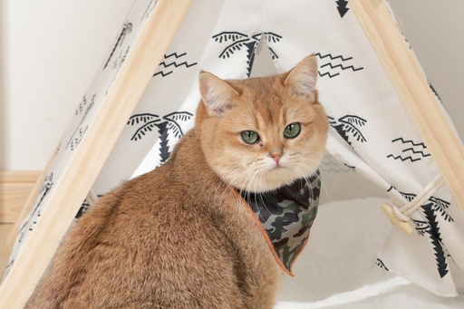 M-pets Wild Jungle Bandana Xs
