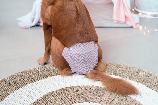 M-pets Carbon Diapers - Female Dog - (L) - 15 Pcs
