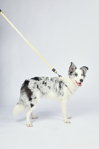 M-pets Wild Safari Regular Leash L/xl