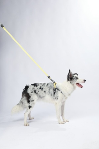 M-pets Wild Safari Regular Leash L/xl