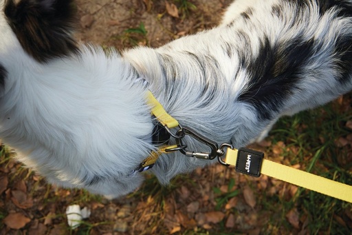 M-pets Wild Safari Regular Leash L/xl