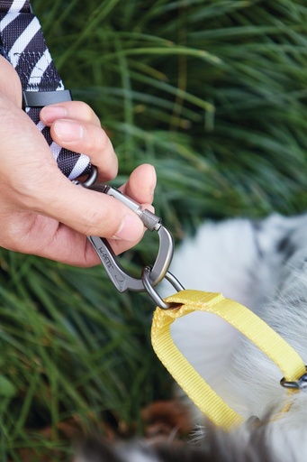 M-pets Wild Safari Regular Leash L/xl