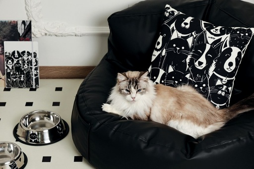 Petjoy M-pets Petjoy Catfamily Stainless Bowl With Rubber Edge M - Black & White 610ml