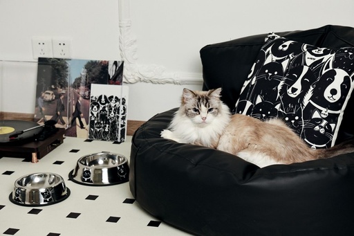 Petjoy M-pets Petjoy Catfamily Stainless Bowl With Rubber Edge M - Black & White 610ml