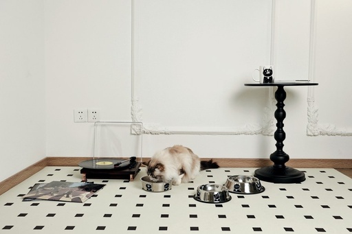 Petjoy M-pets Petjoy Catfamily Stainless Bowl With Rubber Edge M - Black & White 610ml