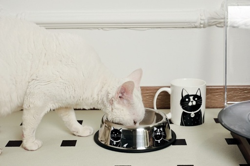 Petjoy M-pets Petjoy Catfamily Stainless Bowl With Rubber Edge S - Black & White 355ml