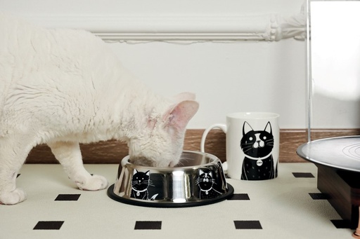 Petjoy M-pets Petjoy Catfamily Stainless Bowl With Rubber Edge S - Black & White 355ml