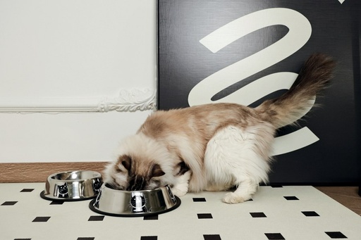 Petjoy M-pets Petjoy Catfamily Stainless Bowl With Rubber Edge S - Black & White 355ml