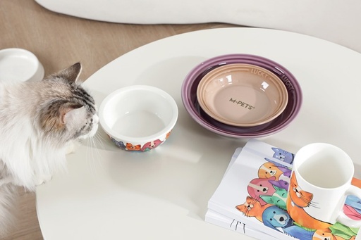 Petjoy M-pets Petjoy Feedmewow Bowl Petfamily - Multicolor 300ml