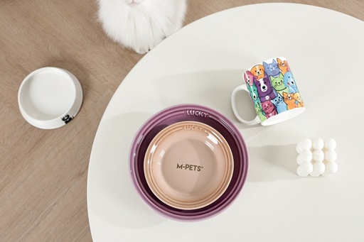 Petjoy M-pets Petjoy Flatty Ceramic Bowl - Brown 250ml