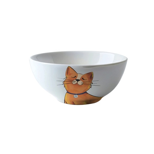 Petjoy M-pets Petjoy Furry Feast Ceramic Bowl Galya - Colour 550ml
