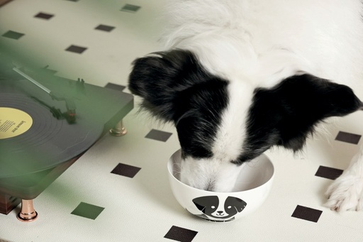 Petjoy M-pets Petjoy Furry Feast Ceramic Bowl Oliver - Black & White 550ml