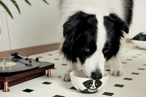 Petjoy M-pets Petjoy Furry Feast Ceramic Bowl Oliver - Black & White 550ml