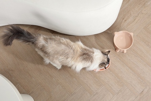 Petjoy M-pets Petjoy Maomiao Ceramic Bowl - Brown 200ml