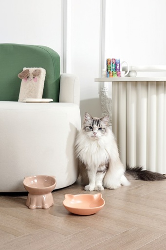 Petjoy M-pets Petjoy Maomiao Ceramic Bowl - Brown 200ml