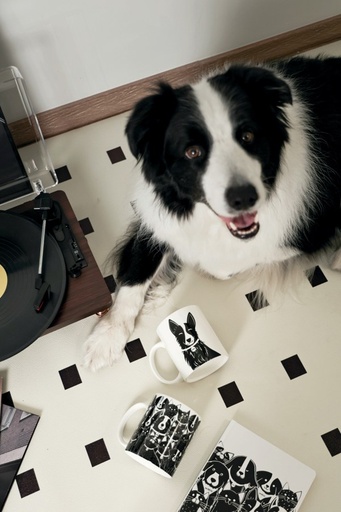 Petjoy M-pets Petjoy Mug Luna - Black & White 350ml