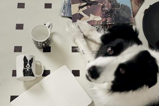 Petjoy M-pets Petjoy Mug Luna - Black & White 350ml