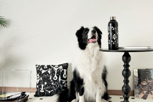 Petjoy M-pets Petjoy Purrfect Hydration Stainless Drinking Bottle