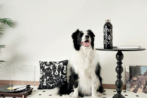 Petjoy M-pets Petjoy Purrfect Hydration Stainless Drinking Bottle
