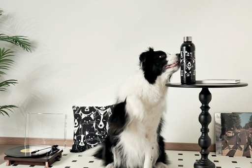 Petjoy M-pets Petjoy Purrfect Hydration Stainless Drinking Bottle