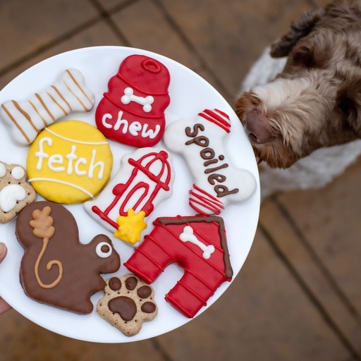 Bosco & Roxy's Dog Epic Fetch Ball Canine Classics