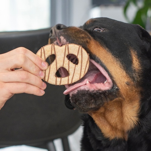 Bosco & Roxy's Dog Knot Your Average Snack Cafe