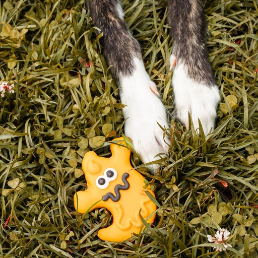 Bosco & Roxy's Dog Natural I Call Boo-sheet Halloween