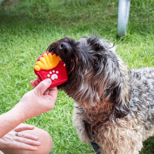 Bosco & Roxy's Dog Pardon My French Fry Woof It Down