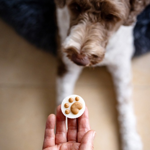 Bosco & Roxy's Dog Peanut Butter Flavoured Treat Cups Canine Classics